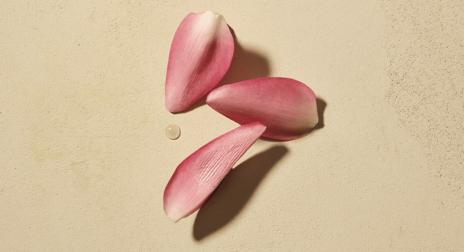 Ingredient 2 desktop (1).png